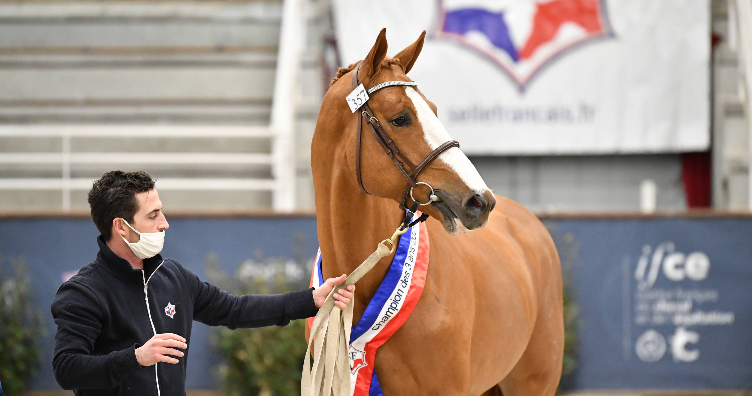 Groupe France \u00c9levage - GFE REIGNS AT THE 3 YEARS-OLD SELLE FRANCAIS ...