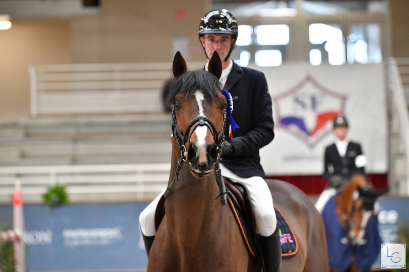 STALLIONS MASTERS IN SAINT-LÔ