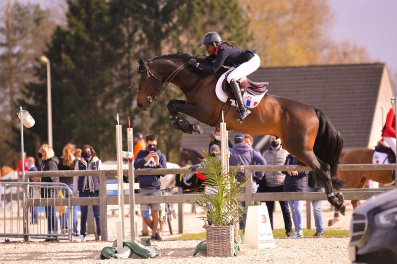 OUR STALLIONS ARE BACK IN COMPETITION