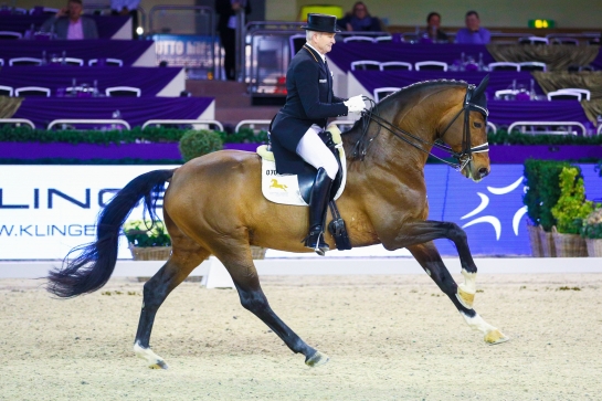 LES ACTUS DRESSAGE DU 13 AU 16 MAI