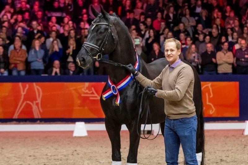 LES ACTUALITES DE TOTILAS