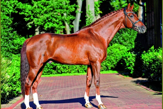 LES ACTUALITES DE VITALIS