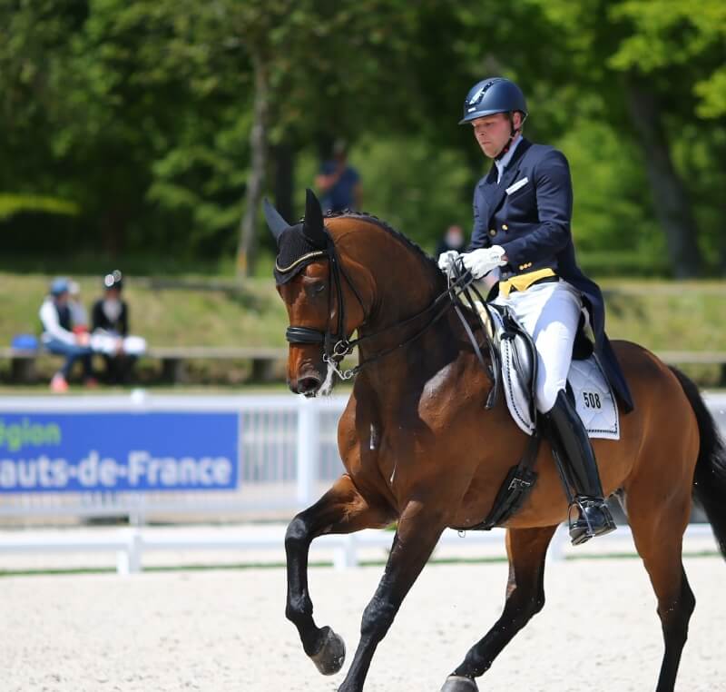 ZOOM SUR LES RÉSULTATS EN DRESSAGE