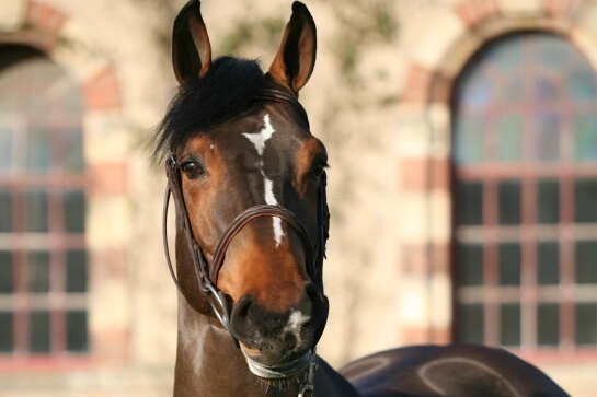 2021 : LES ACTUALITES DE QUARTZ DU CHANU