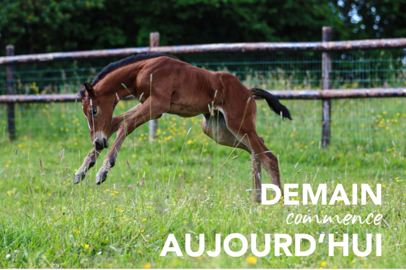 DEMAIN COMMENCE AUJOURD'HUI