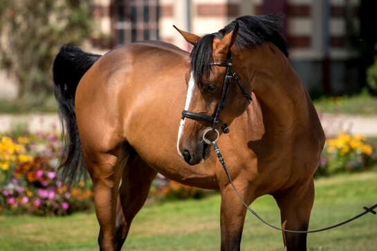 LES ACTUALITES D'EDEN DU ROUET