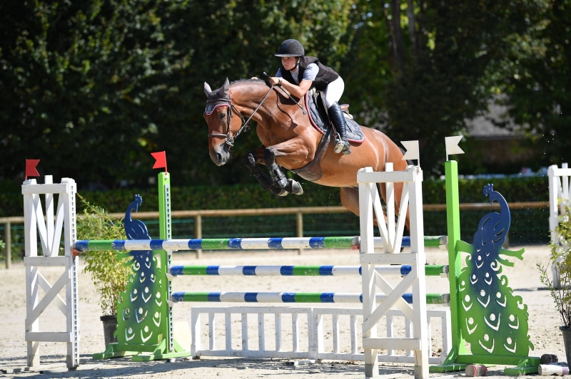 CIR DE POMPADOUR, LE LION D'ANGERS ET ROSIERES : PREMIERES ECHEANCES AVANT FONTAINEBLEAU