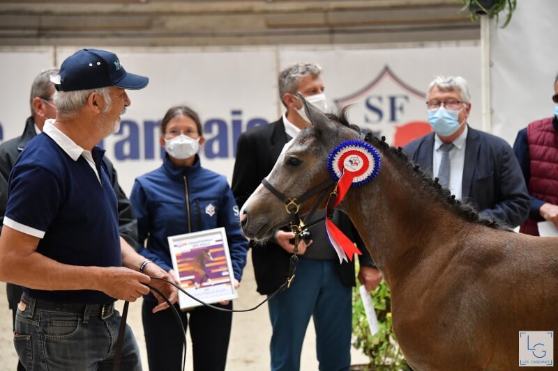 CHAMPIONNAT DES FOALS - BRAVO ET MERCI !