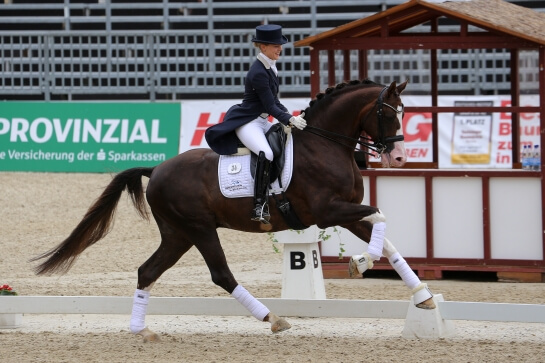 DRESSAGE : ZOOM SUR LES CHAMPIONNATS D ALLEMAGNE ET USA