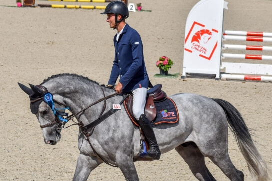 GFE STALLIONS IN FRENCH YOUNG HORSES CHAMPIONSHIPS
