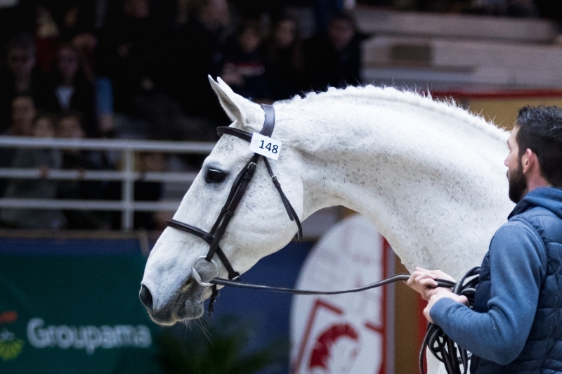 LES ACTUALITES DE BALOUSSINI