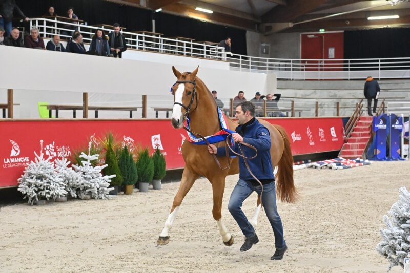 LE DOUBLé POUR ITOKI DE RIVERLAND*GFE