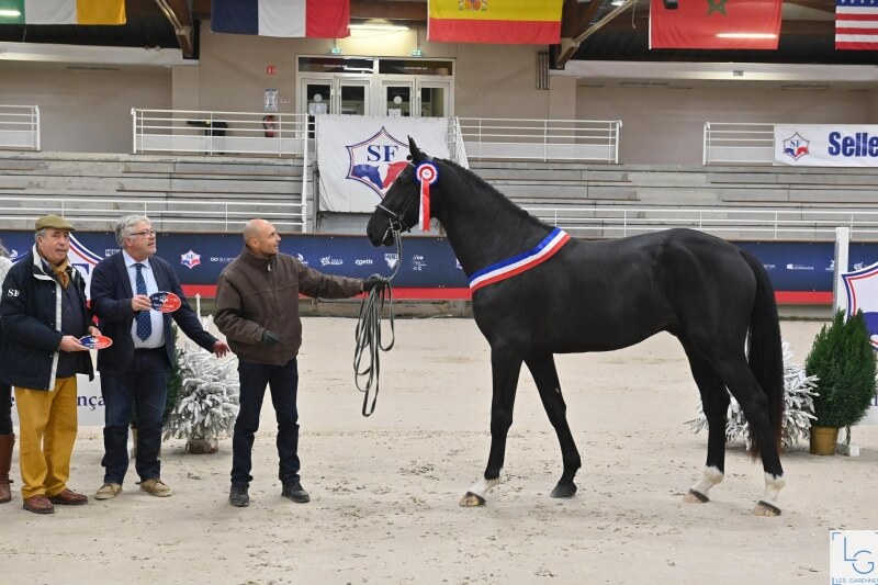 BIENVENUE À JOKER D'EUSKADI*GFE