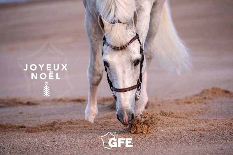 JOYEUX NOEL À TOUS !