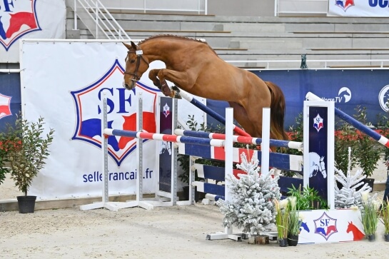 LE VICE CHAMPION DE FRANCE AU GFE