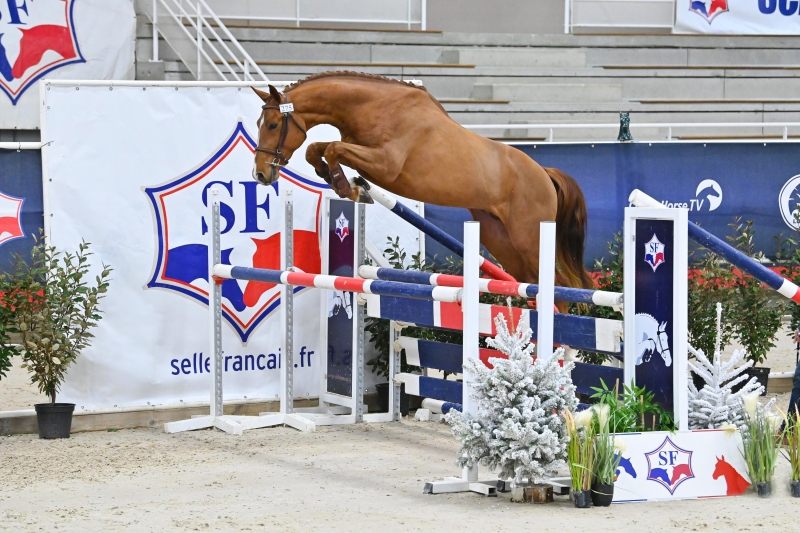 LE VICE CHAMPION DE FRANCE AU GFE