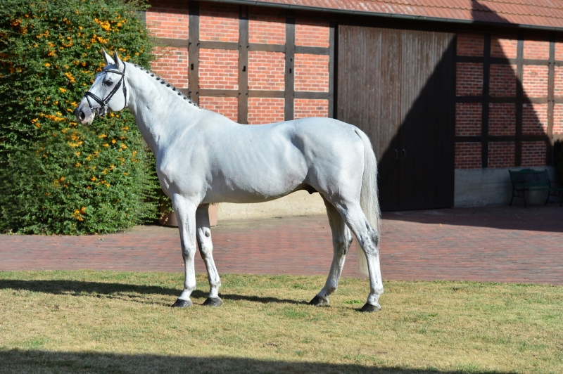 LES ACTUS DU 23 DECEMBRE AU 16 JANVIER