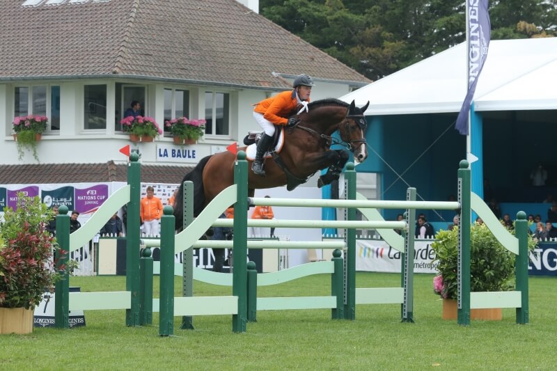 LES ACTUS DU 17 AU 20 FÉVRIER