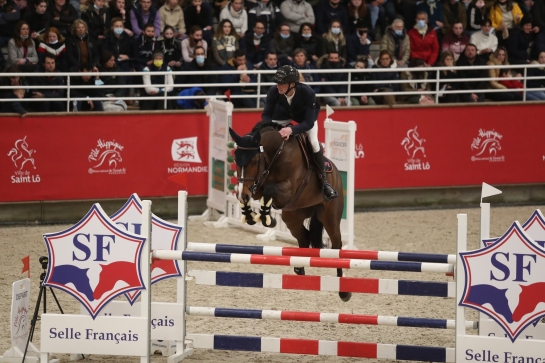 LES ÉTALONS DU GFE AU SALON DES ÉTALONS ET AUX APPROBATIONS Z