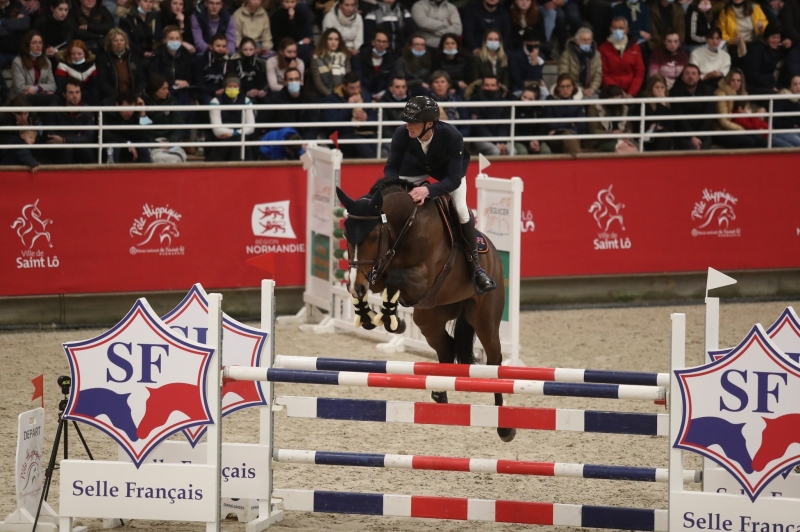 LES ÉTALONS DU GFE AU SALON DES ÉTALONS ET AUX APPROBATIONS Z