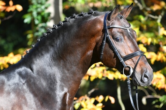 LES ACTUALITES DE CONTHARGOS