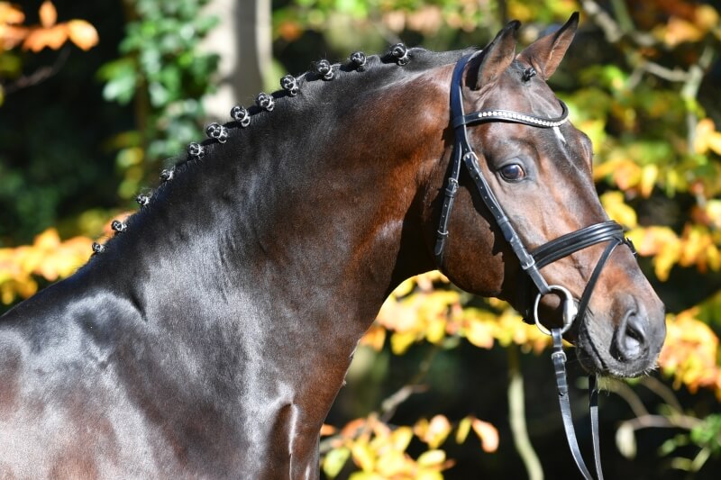 LES ACTUALITES DE CONTHARGOS