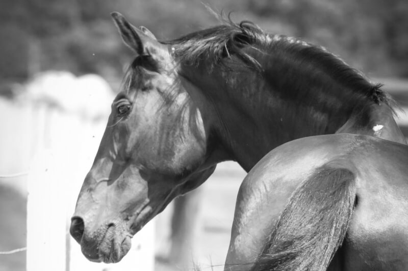 LES ACTUALITES DE KANNAN