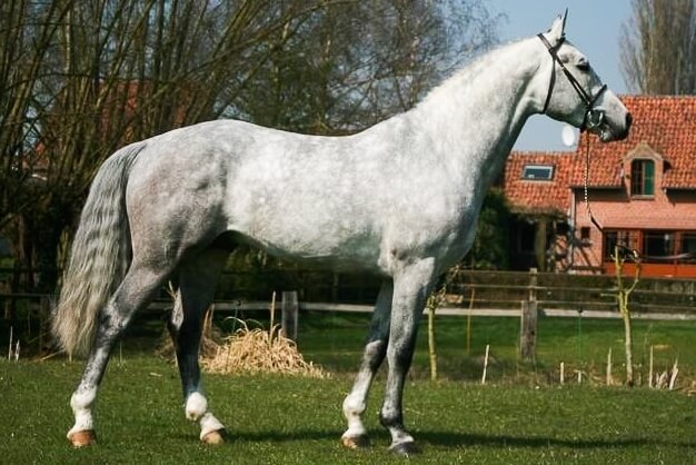 LES ACTUALITES D'UGANO SITTE