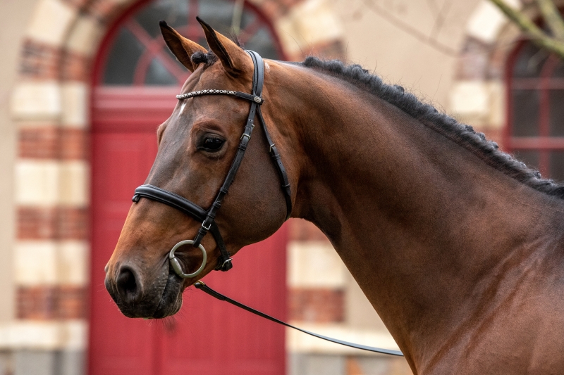 CICAVE DU TALUS : ADIEU L'ARTISTE