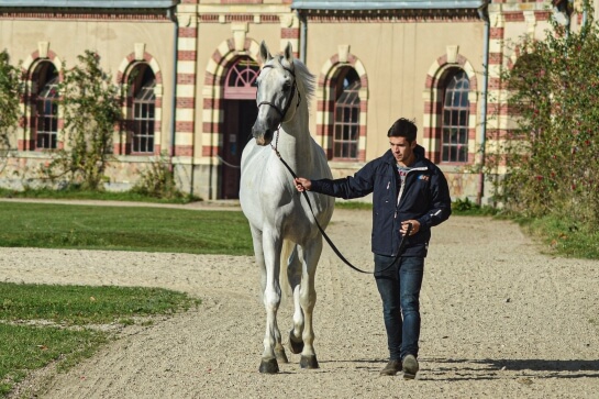 STAKKATOL TOUS AZIMUTS