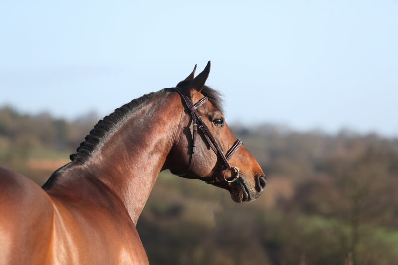 LA SAISON EN FRAIS EST LANCÉE !