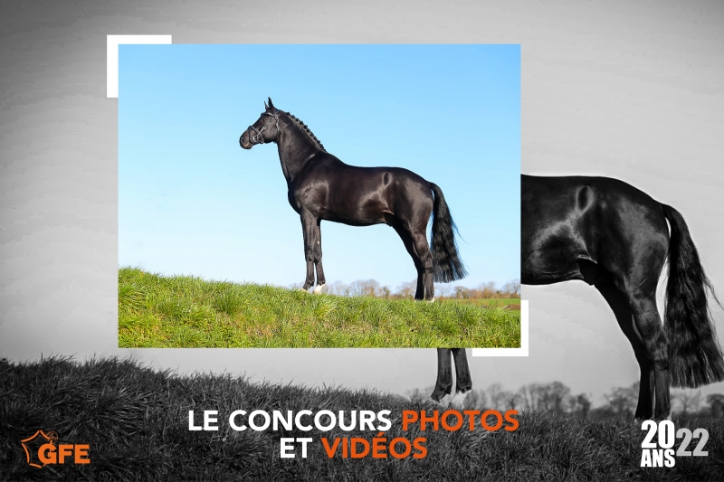 LE CONCOURS PHOTOS ET VIDEOS