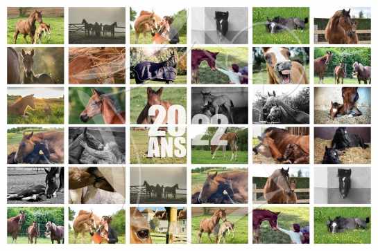 LE CONCOURS PHOTOS DES 20 ANS : PLACE AUX VOTES