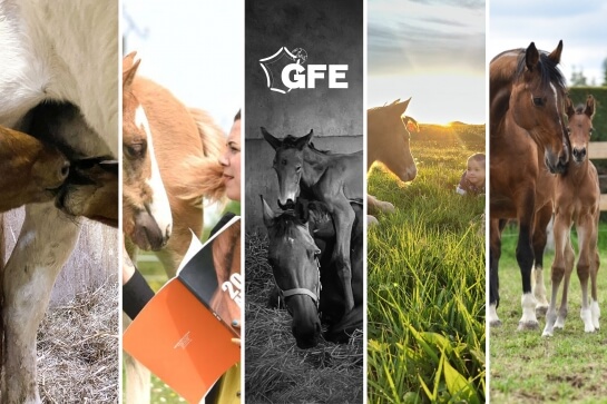 CONCOURS PHOTOS : BRAVO AUX GAGNANTS