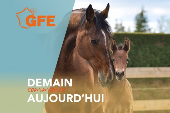 DEMAIN COMMENCE AUJOURD'HUI