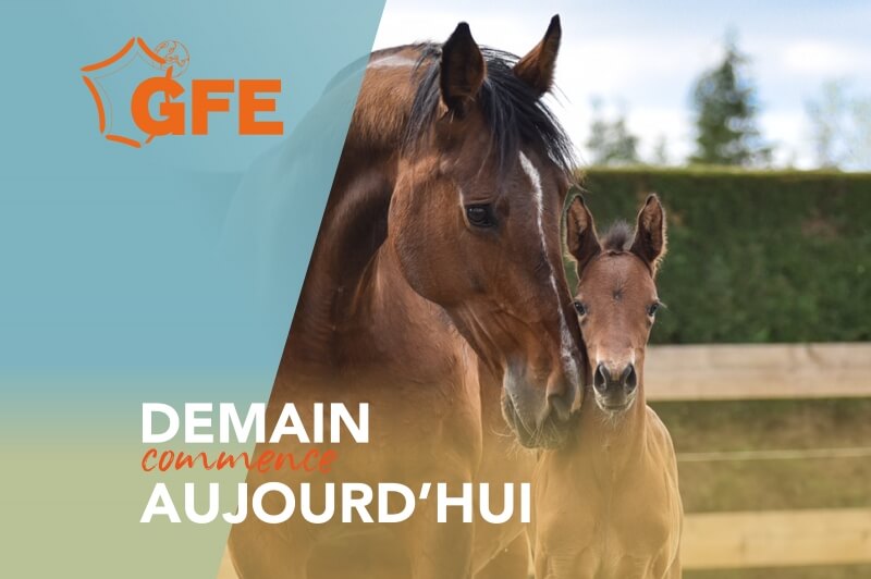 DEMAIN COMMENCE AUJOURD'HUI