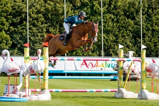 LES ACTUS DU 6 AU 10 JUILLET