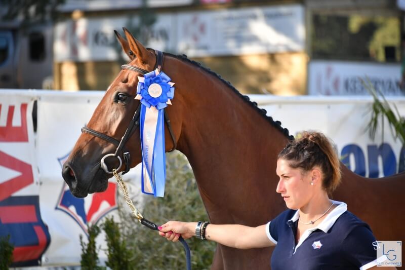 6 VICTOIRES AUX CIR DE ROSIERES ET CLUNY