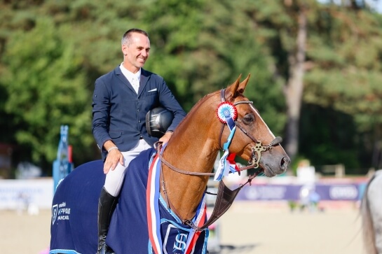 FABULOUS FALKO AND GFE YOUNG STALLION'S SQUAD !