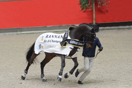 KANNAN 4TH BEST SIRE IN THE WORLD