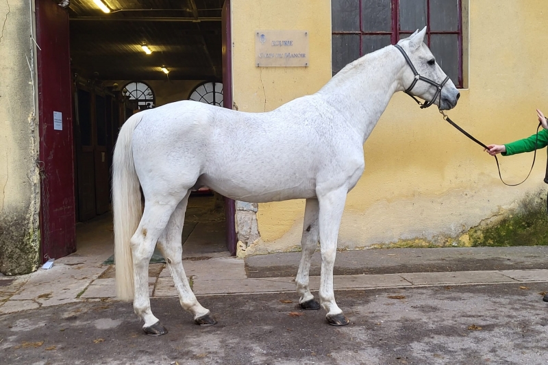 NARTAGO À ROSIERES AUX SALINES
