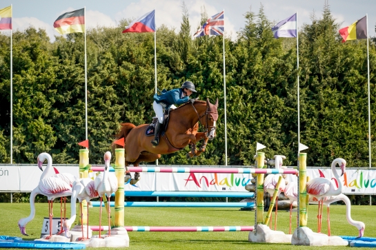 LES ACTUS DU 24 AU 29 JANVIER