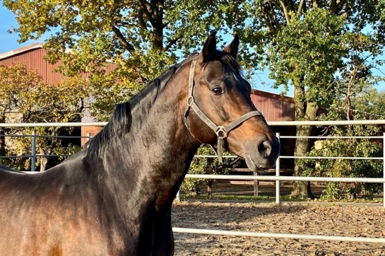 CONTHARGOS S'EST ETEINT