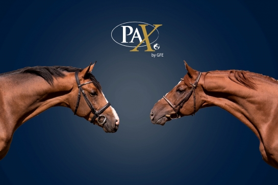 LE NOUVEAU PAX... COMMENT ÇA MARCHE