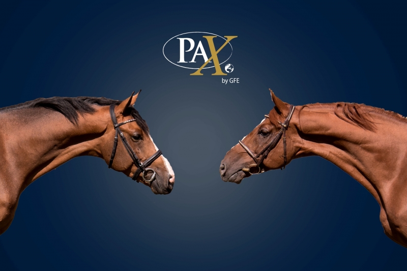 LE NOUVEAU PAX... COMMENT ÇA MARCHE