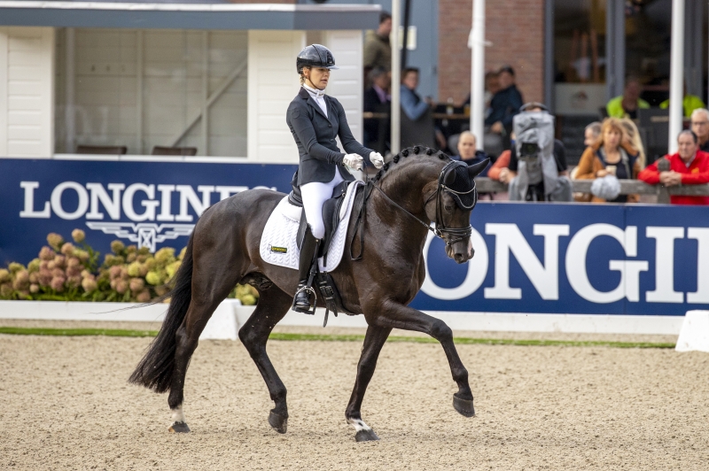 DRESSAGE : RACOON REJOINT LE CATALOGUE DU GFE