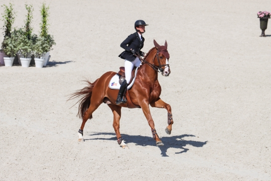 LES ACTUS DU 07 AU 12 MARS