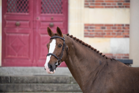 UNE BELLE AFFLUENCE AUX JPO DE SAINT-LO