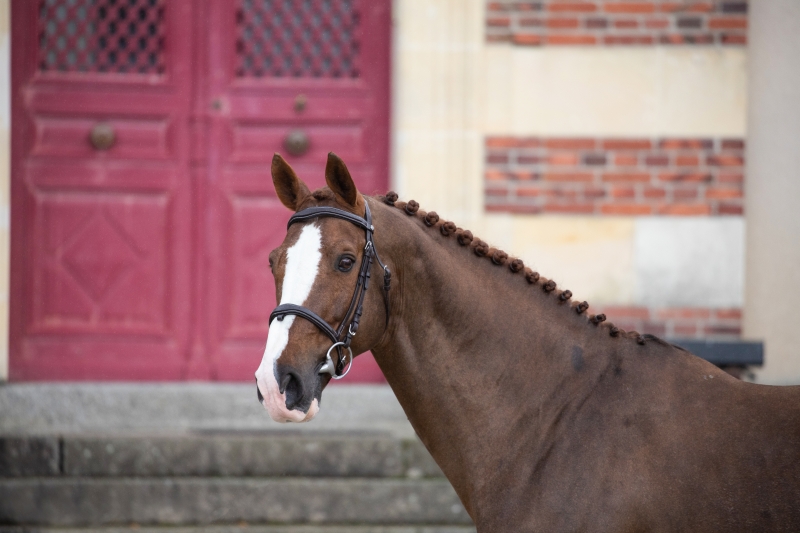 UNE BELLE AFFLUENCE AUX JPO DE SAINT-LO