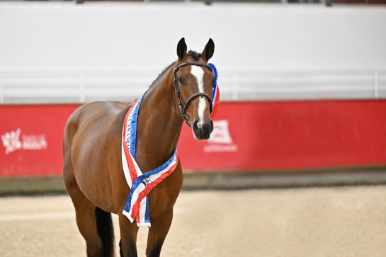 LA PRIME AU NAISSEUR : PUISSANCE 3 EN 2023